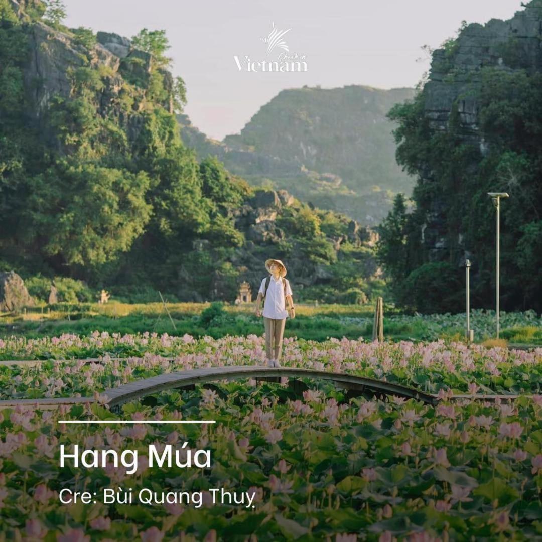Cherry Homestay Ninh Binh Exterior foto